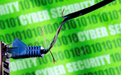 三部门联合印发《2025年深入推进IPv6规模部署和应用工作要点》