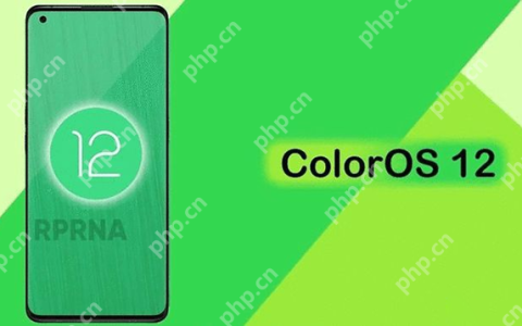 COlorOS12什么时候出