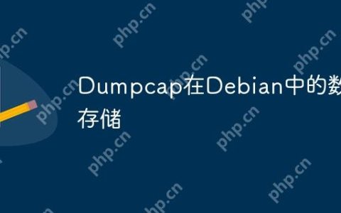 Dumpcap在Debian中的数据存储