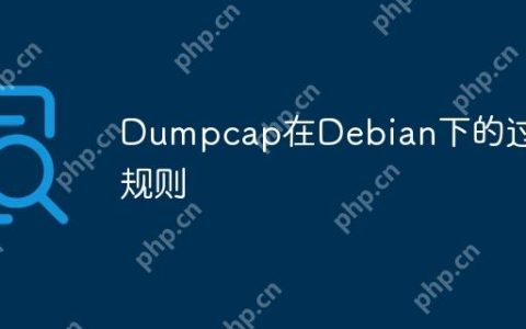 Dumpcap在Debian下的过滤规则