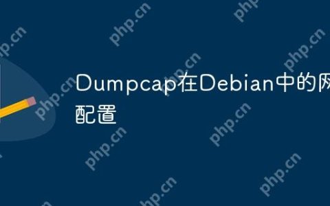 Dumpcap在Debian中的网络配置