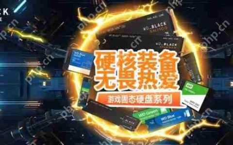 存储狂欢 618：纵享疾速选闪迪