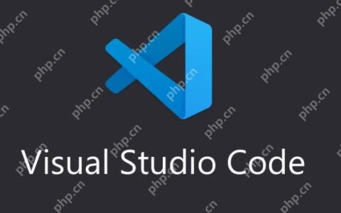 VSCode 对新兴编程语言的支持趋势与相关问题分析