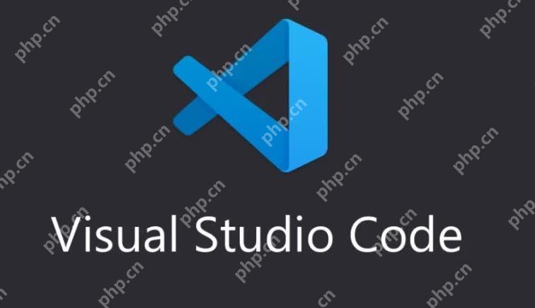 VSCode 对新兴编程语言的支持趋势与相关问题分析