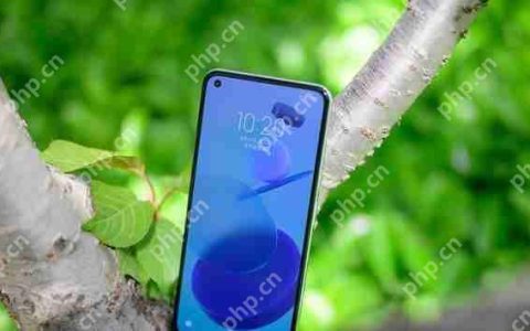 小米11青春版手机指纹解锁方式是什么