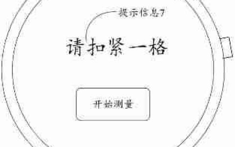 荣耀“一种生理参数检测方法及可穿戴设备”专利获授权