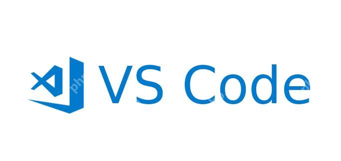VSCode 插件更新后导致编辑器崩溃的原因及解决办法