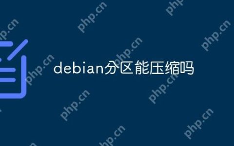 debian分区能压缩吗
