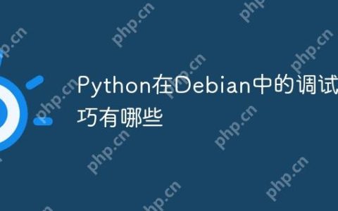 Python在Debian中的调试技巧有哪些