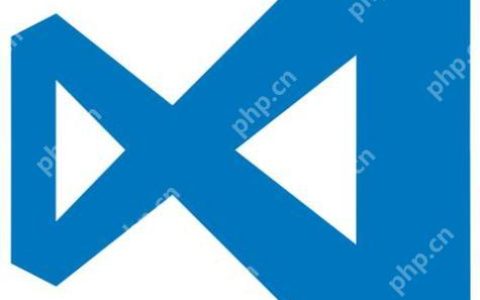 如何在 VSCode 中设置美观且易于阅读的代码字体和字号？