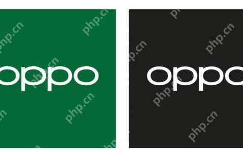 oppo手机pin码怎么解除 oppo手机pin码解锁步骤
