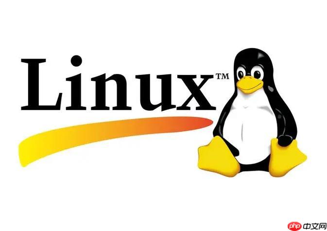 linux如何查看系统信息?linux系统监控工具有哪些?