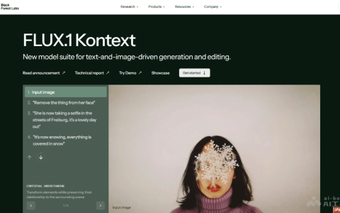 FLUX.1 Kontext— Black Forest Labs 推出的图像生成与编辑模型