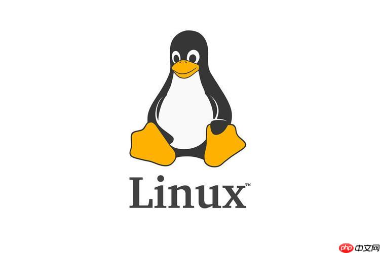 linux怎样查看进程信息?如何结束异常进程?