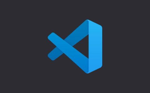 加入VSCode开发者社区获取技术支持