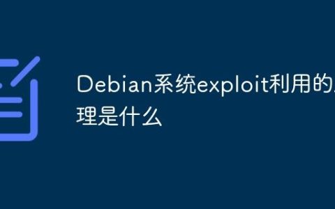 Debian系统exploit利用的原理是什么