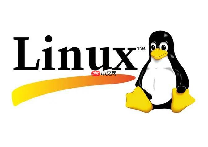linux如何挂载磁盘?linux文件系统有哪些类型?