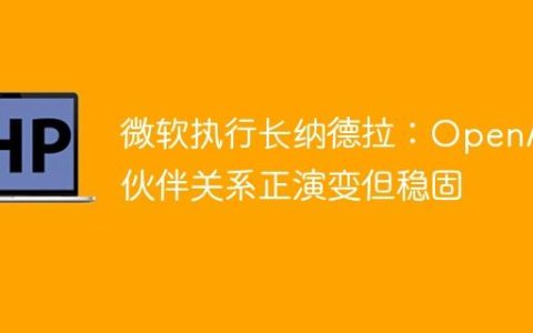 微软执行长纳德拉：OpenAI伙伴关系正演变但稳固