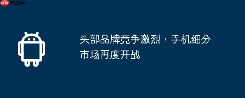 头部品牌竞争激烈,手机细分市场再度开战