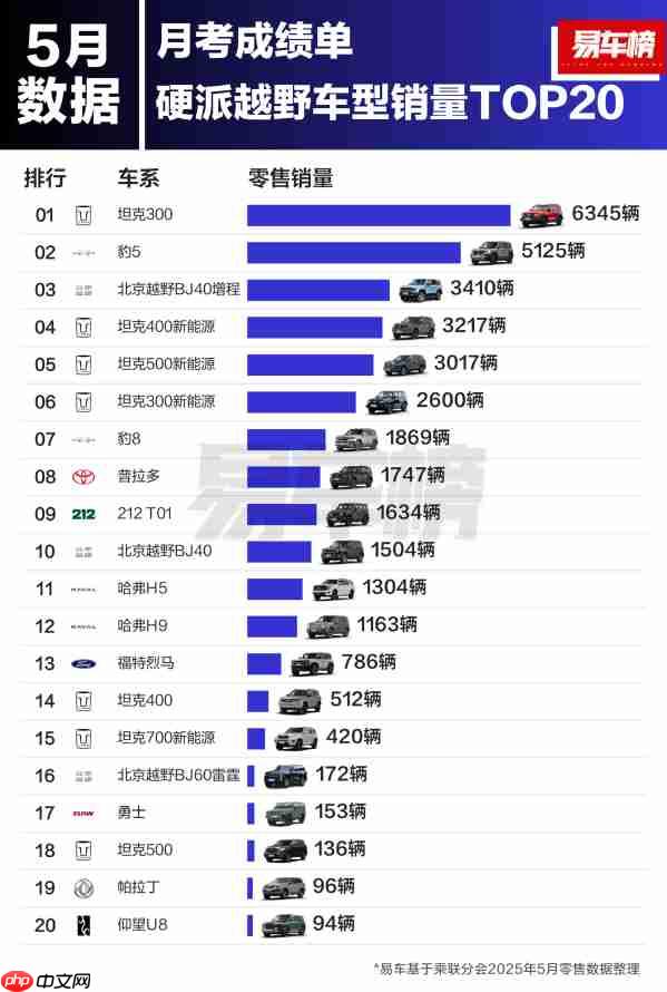 5月硬派越野车型销量TOP20出炉:坦克品牌前六占四