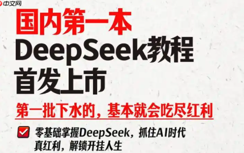 DeepSeek的”长文阅读”功能如何使用？它能处理多大容量的文档？
