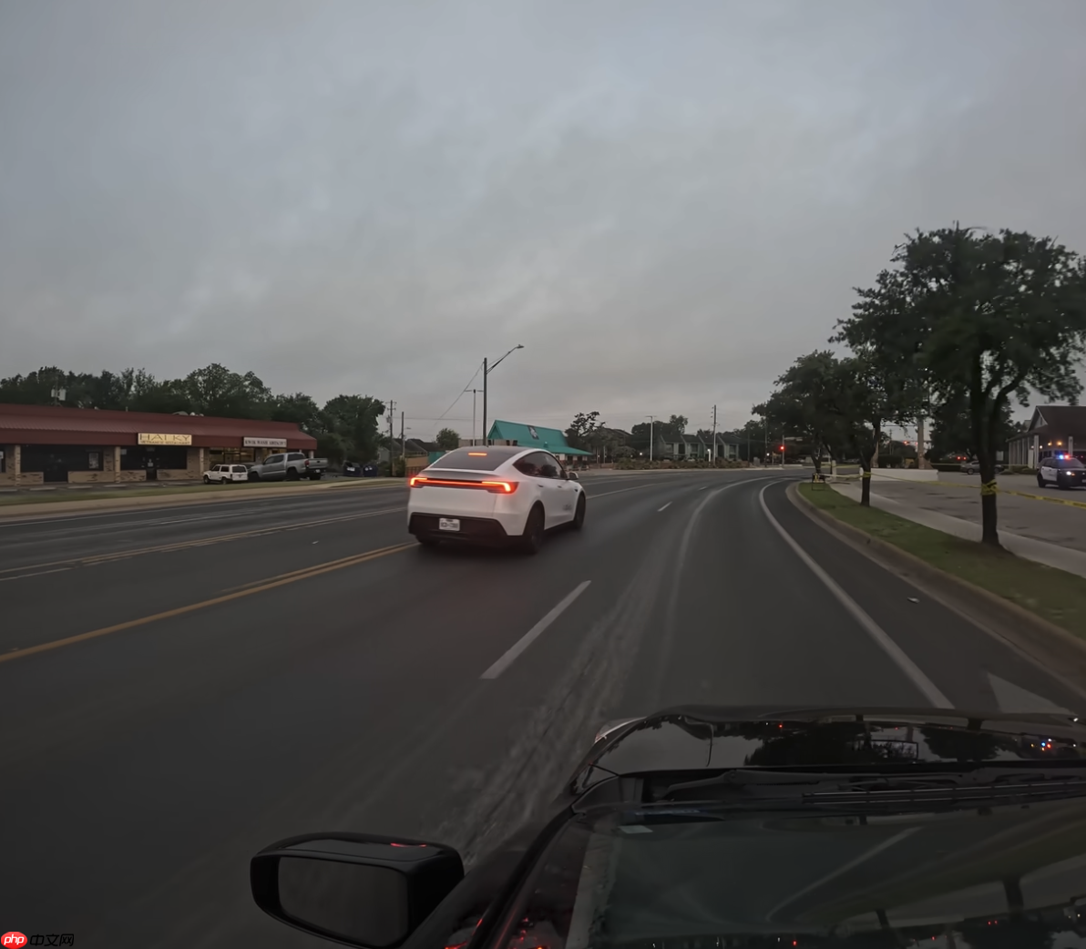 特斯拉Robotaxi状况频发 专家惊讶:一开始就这么多问题