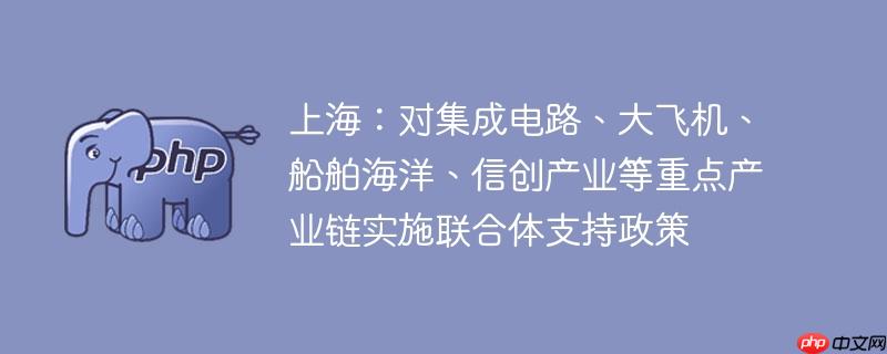 上海:对集成电路、大飞机、船舶海洋、信创产业等重点产业链实施联合体支持政策