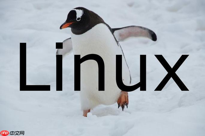 如何查看Linux系统日志?journalctl和tail -f /var/log/messages实战技巧