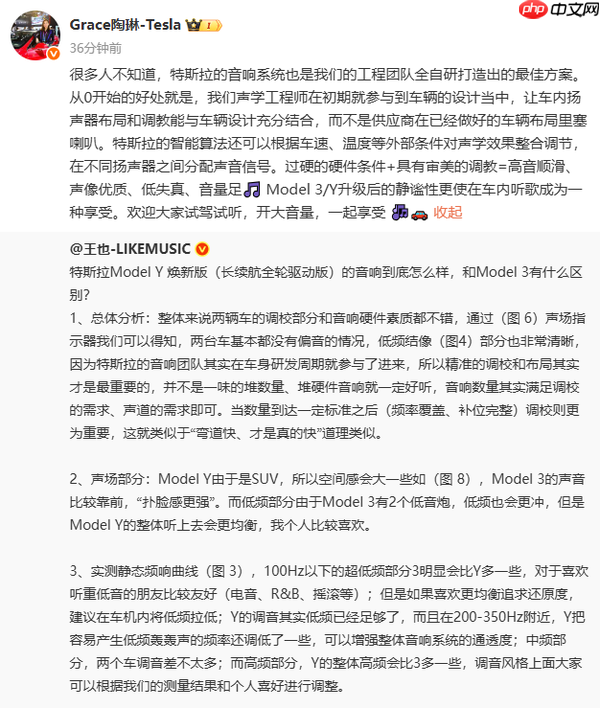 陶琳:特斯拉音响系统采用全自研设计 还有神秘黑科技