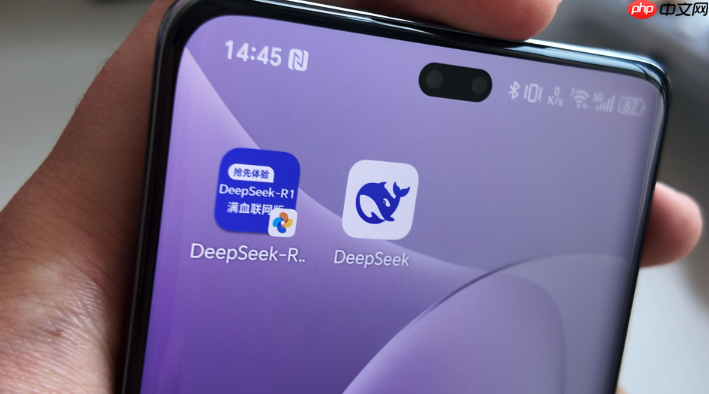 豆包AI满血升级：DeepSeek接入后的首选项优化建议