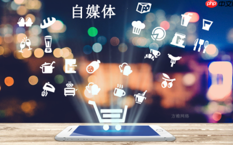 日赚百元实战经验：普通人如何靠蝴蝶号实现视频变现