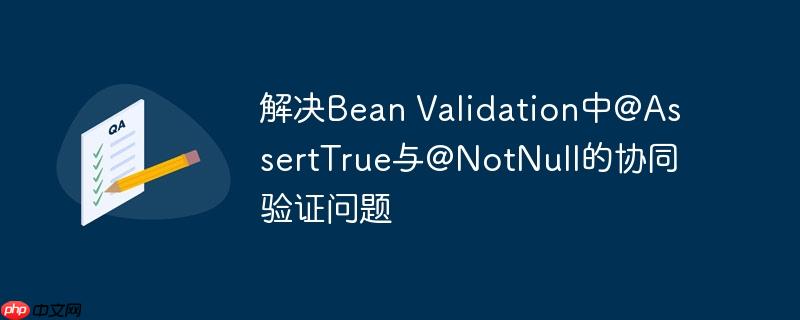 解决bean validation中@asserttrue与@notnull的协同验证问题