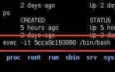 docker容器的启动(docker容器启动时间)