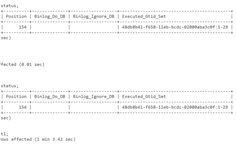 技术分享 | MySQL Binlog 通过 MySQL 客户端导入数据库效率低的原因