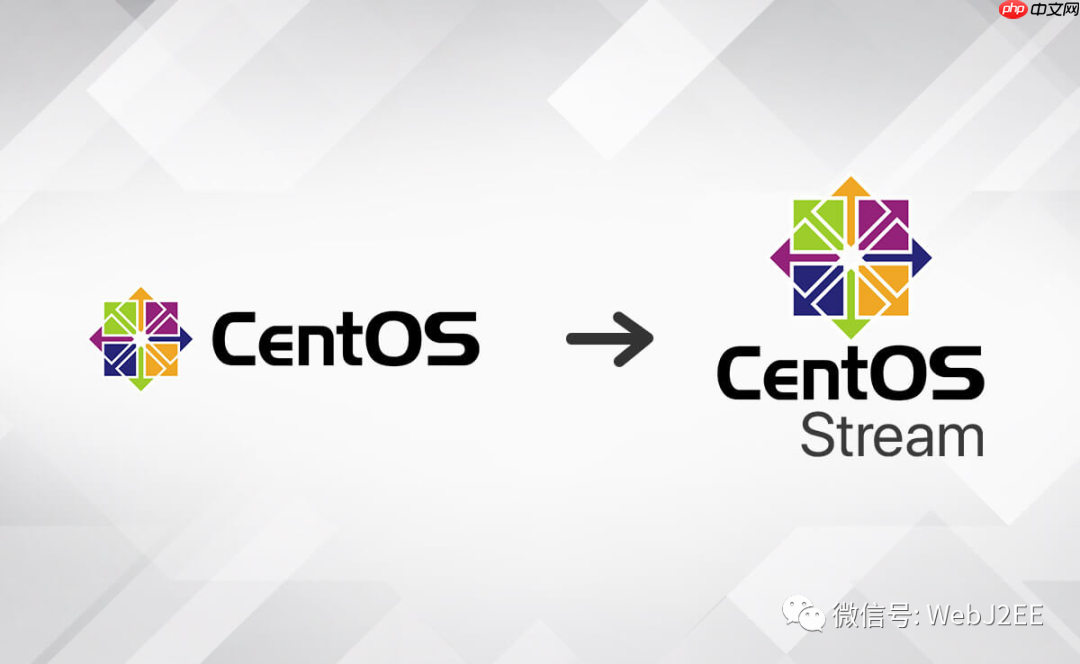 【CentOS 8】:唉?yum install 怎么突然不行了?