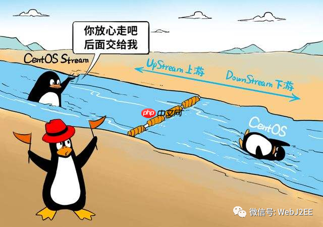 【CentOS 8】:唉?yum install 怎么突然不行了?