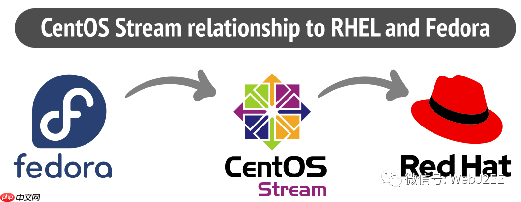 【CentOS 8】:唉?yum install 怎么突然不行了?
