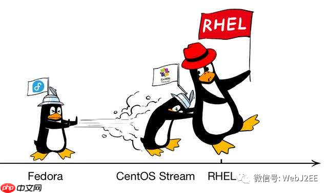 【CentOS 8】:唉?yum install 怎么突然不行了?