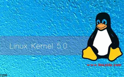 linux内核 5.0,Linux Kernel 5.0 正式发布，FreeSync支持[通俗易懂]