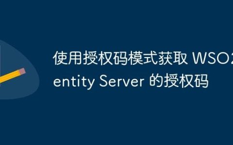 使用授权码模式获取 WSO2 Identity Server 的授权码