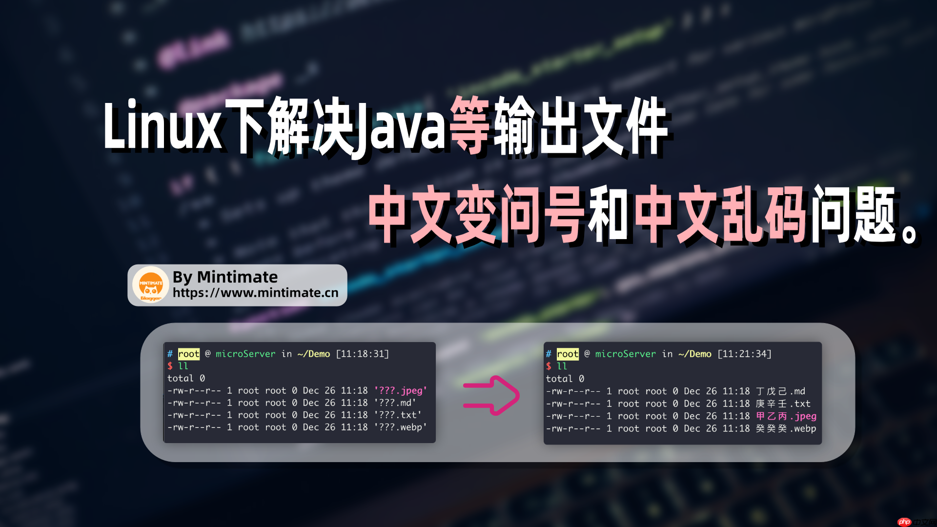 解决Linux下中文变问号/乱码问题，解决Java等程序无法保存中文文件名、中文文件。