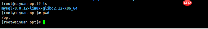 Linux下MySQL 8.0 二进制安装