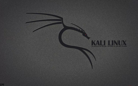 Kali Linux 2020.4 安装教程 超级详细 适合新手入门
