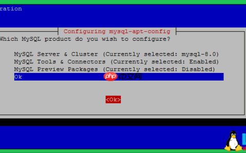 如何在Debian 10（Buster）Linux上安装MySQL