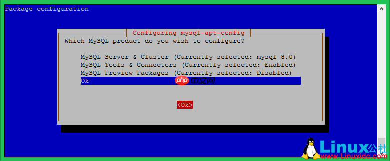 如何在Debian 10(Buster)Linux上安装MySQL