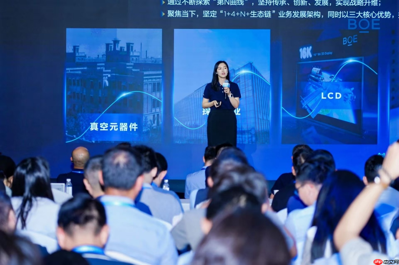 “2025京东方投资者日”在沪举办 资本战略转型开启价值创造新阶段