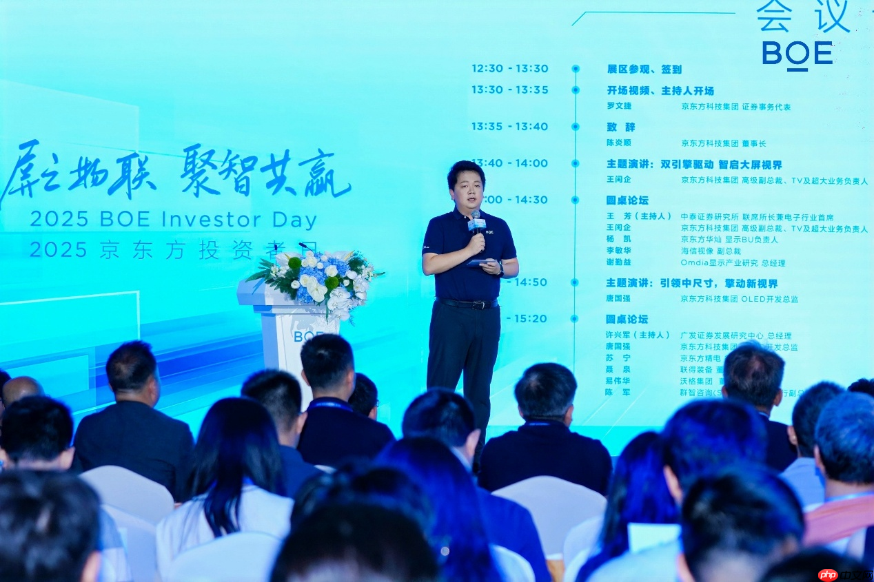 “2025京东方投资者日”在沪举办 资本战略转型开启价值创造新阶段