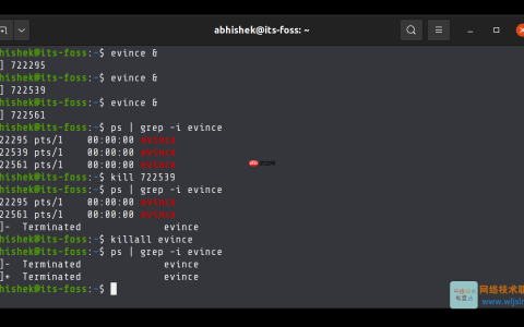 在 Linux 中如何强制停止进程？kill 和 killall 命令有什么区别？