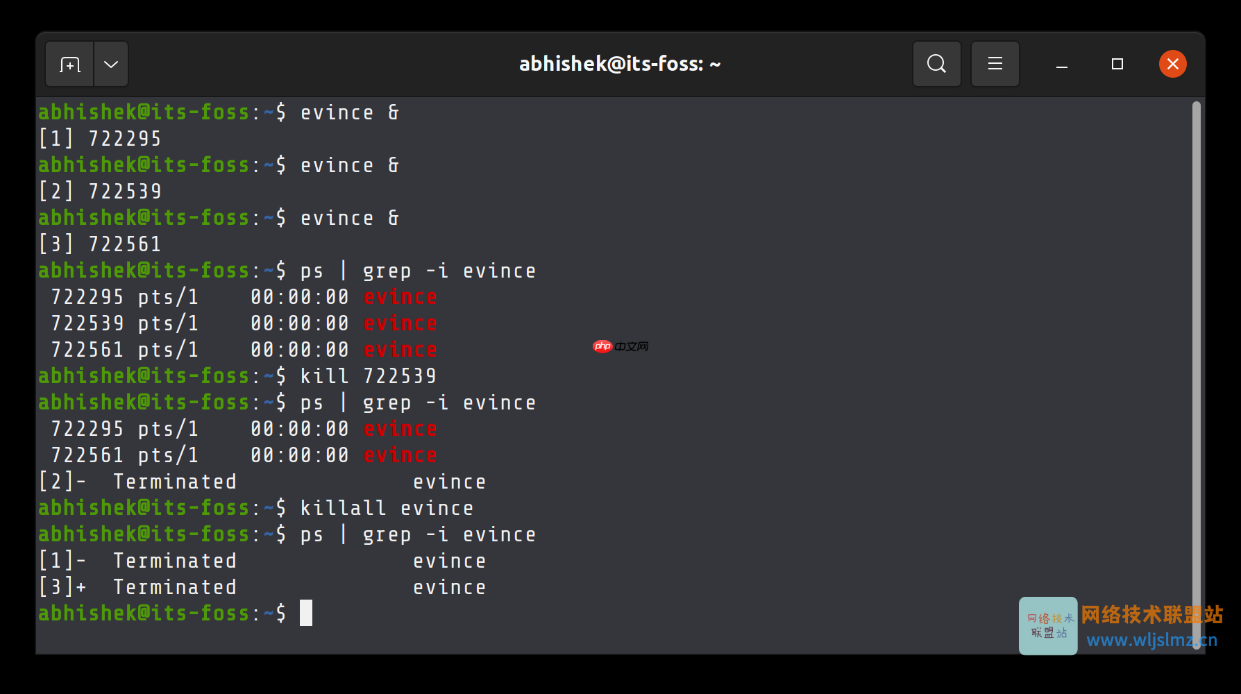 在 Linux 中如何强制停止进程?kill 和 killall 命令有什么区别?