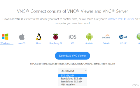 电脑win11使用vnc连接手机ubuntu